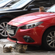 No matter the country or language, cats like warm engines
